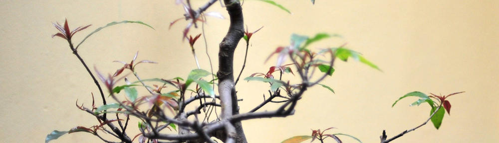 Event Organiser Demo